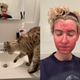 Bertha, my roommate’s cat, is an important participant in my beauty routine.
